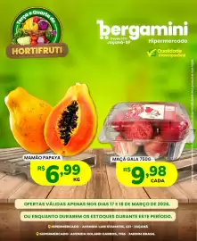 Catálogo Supermercado Bergamini Página 9