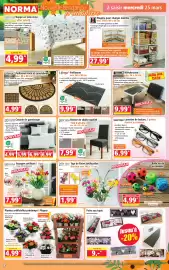 Catalogue Norma semaine 13 page 2