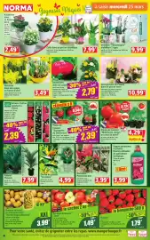 Catalogue Norma semaine 13 page 4