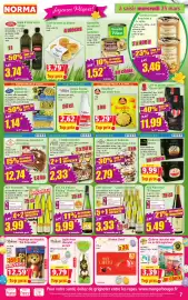 Catalogue Norma semaine 13 page 7