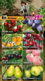 Hornbach Flugblatt Seite 14