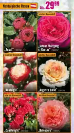 Hornbach Flugblatt Seite 17