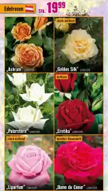 Hornbach Flugblatt Seite 18