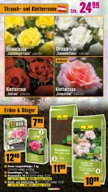 Hornbach Flugblatt Seite 19