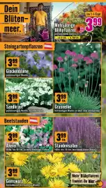 Hornbach Flugblatt Seite 2