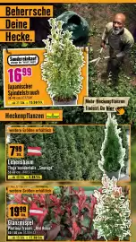 Hornbach Flugblatt Seite 20