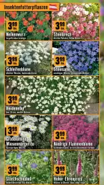 Hornbach Flugblatt Seite 3