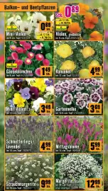 Hornbach Flugblatt Seite 4