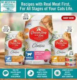 Lowes Foods weekly ad week 12 Page 13
