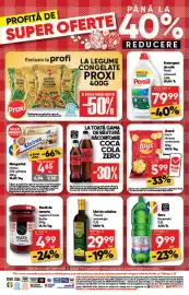 Catalog PROFI Pagină 13