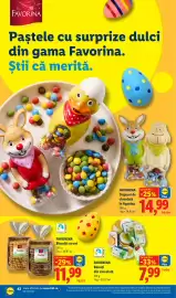 Catalog Lidl săptămâna 13 Pagină 42