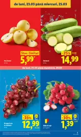 Catalog Lidl săptămâna 13 Pagină 5