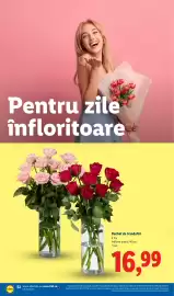 Catalog Lidl săptămâna 13 Pagină 52