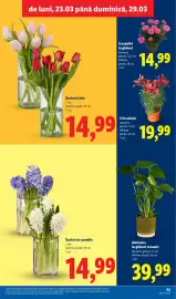 Catalog Lidl săptămâna 13 Pagină 53