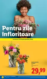 Catalog Lidl săptămâna 13 Pagină 54