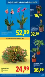 Catalog Lidl săptămâna 13 Pagină 55
