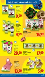 Catalog Lidl săptămâna 13 Pagină 75