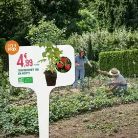 Catalogue Botanic page 1