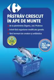 Catalog Carrefour săptămâna 12 Pagină 13