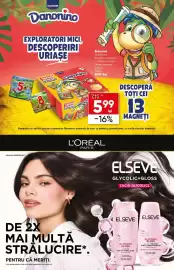 Catalog PROFI Pagină 13