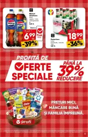 Catalog PROFI Pagină 3