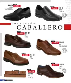 Catálogo Cklass Página 205