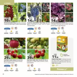 Catalogue Bricomarché page 45