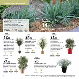 Catalogue Bricomarché page 49