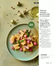 Ekoplaza magazine Pagina 31