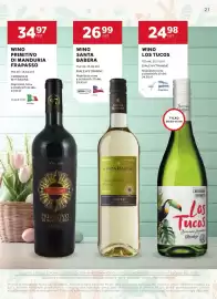 Stokrotka gazetka | Alkohole Strona 21