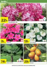 Catalogue Carrefour | Pâques pour tous les goûts page 97