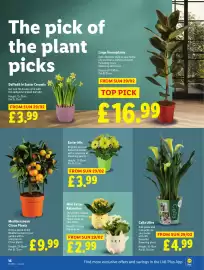 Lidl leaflet week 13 Page 18