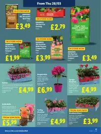 Lidl leaflet week 13 Page 19