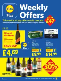 Lidl leaflet week 13 Page 6