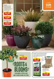 Aldi leaflet Page 17