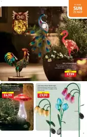 Aldi leaflet Page 21