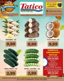 Tabloide Tatico Página 33