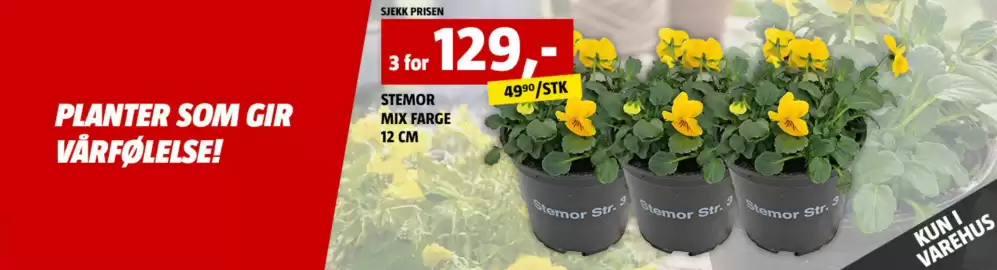 Bauhaus kundeavis Side 5