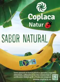 Catálogo Costco Página 119