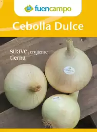 Catálogo Costco Página 127