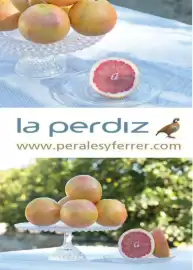 Catálogo Costco Página 147