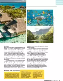 Catálogo Costco Página 157