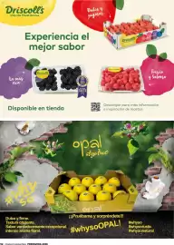 Catálogo Costco Página 52