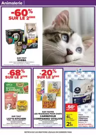 Catalogue Carrefour page 53