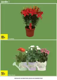 Catalogue Carrefour page 65
