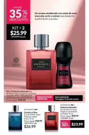 Catálogo AVON Página 13
