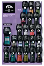 Catálogo AVON Página 169