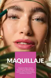 Catálogo AVON Página 17