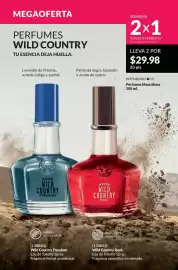 Catálogo AVON Página 197