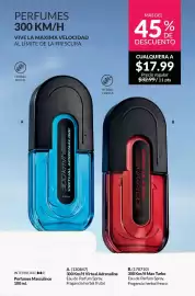 Catálogo AVON Página 67